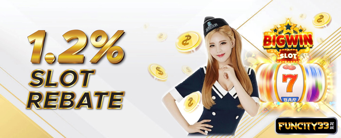 1.2 slot rebate